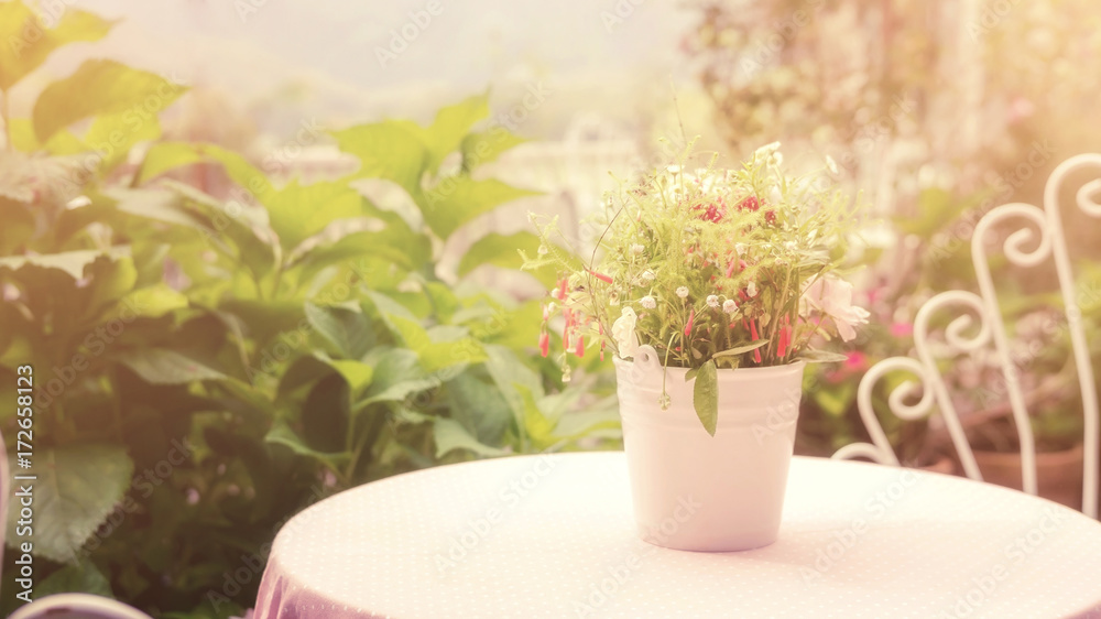 Flower in a white pot on a table, soft vintage style. Flower in a white pot on a table, soft vintage style.