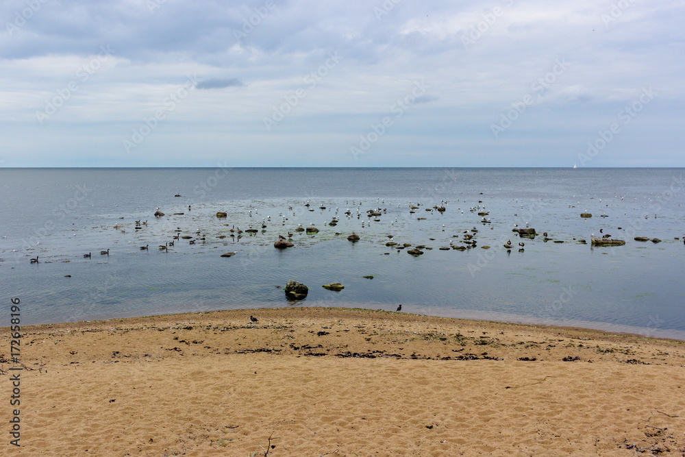 Mare del Nord