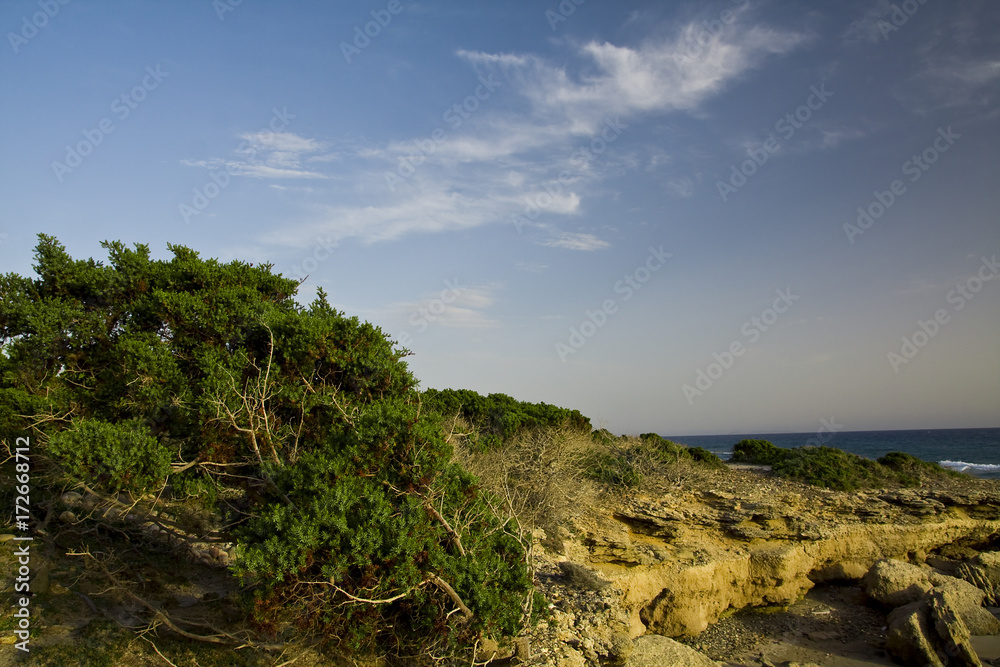 seaside and coast view during the sunset seaside and coast view during the sunset