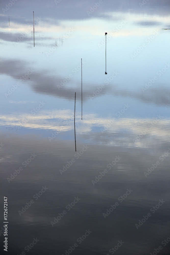 Spiegelung des Morgenhimmels auf einem See in Kerala/ Indien Spiegelung des Morgenhimmels auf einem See in Kerala/ Indien