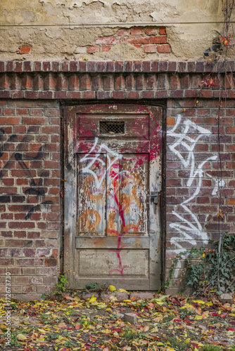 Old door with vegetation in Bucharest, Romania.