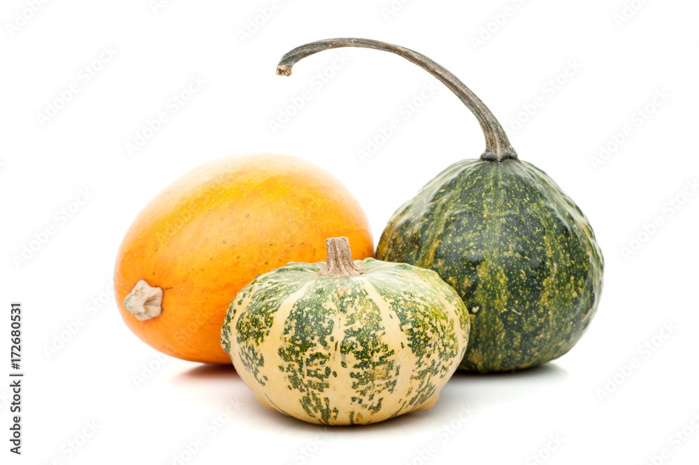 set of small pumpkins isolated on white background set of small pumpkins isolated on white background
