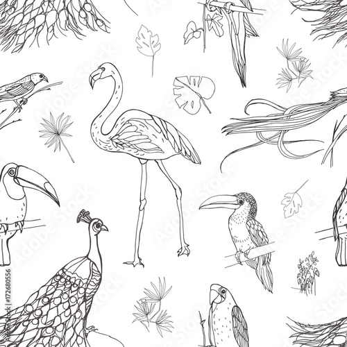Beautiful seamless pattern with tropical birds and exotic leaves hand drawn w...