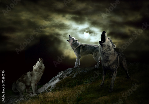 the hosts of the night are wolves © ortlemma