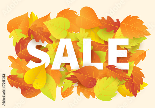 Autumn sale banner template with bright colorful fall leaves