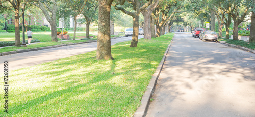 Side view of residential street covered by live oak arched tree at upscale neighborhood in Houston, Texas. Car parked side street, woman walks dog. America is excellent green, clean country. Panorama