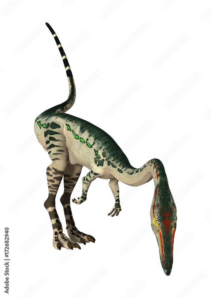Fototapeta premium 3D Rendering Dinosaur Coelophysis on White