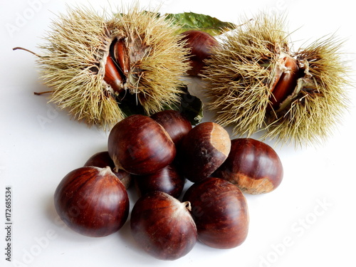 castagne
 photo