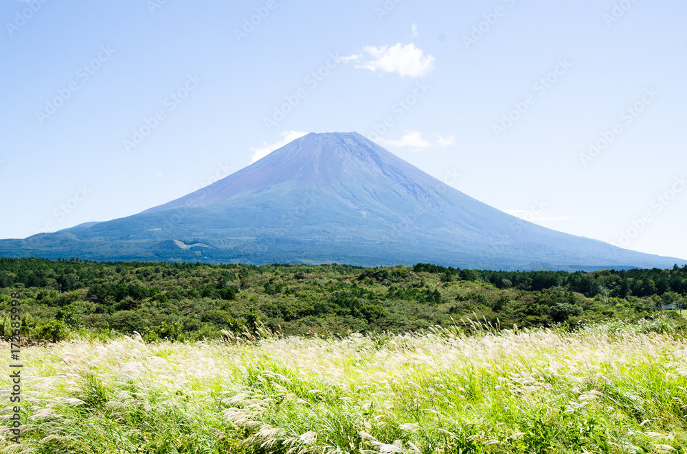 富士山とススキ　朝霧高原