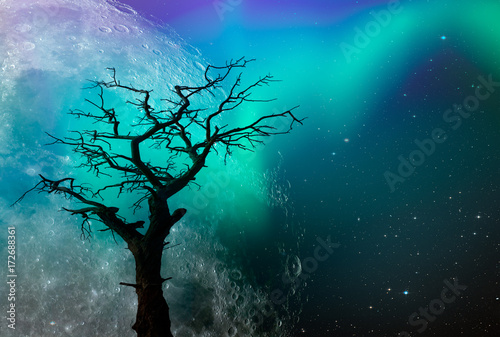 Dead tree wtih super moon  "Elements of this image furnished by NASA © muratart