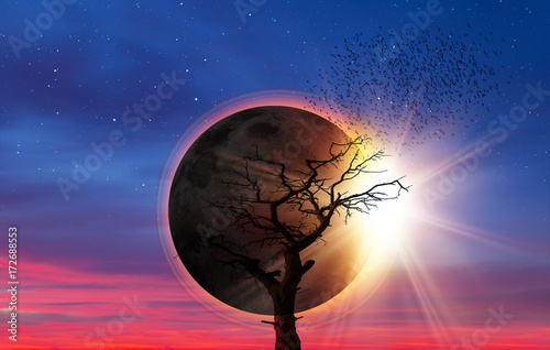 Dead tree wtih solar eclipse  "Elements of this image furnished by NASA