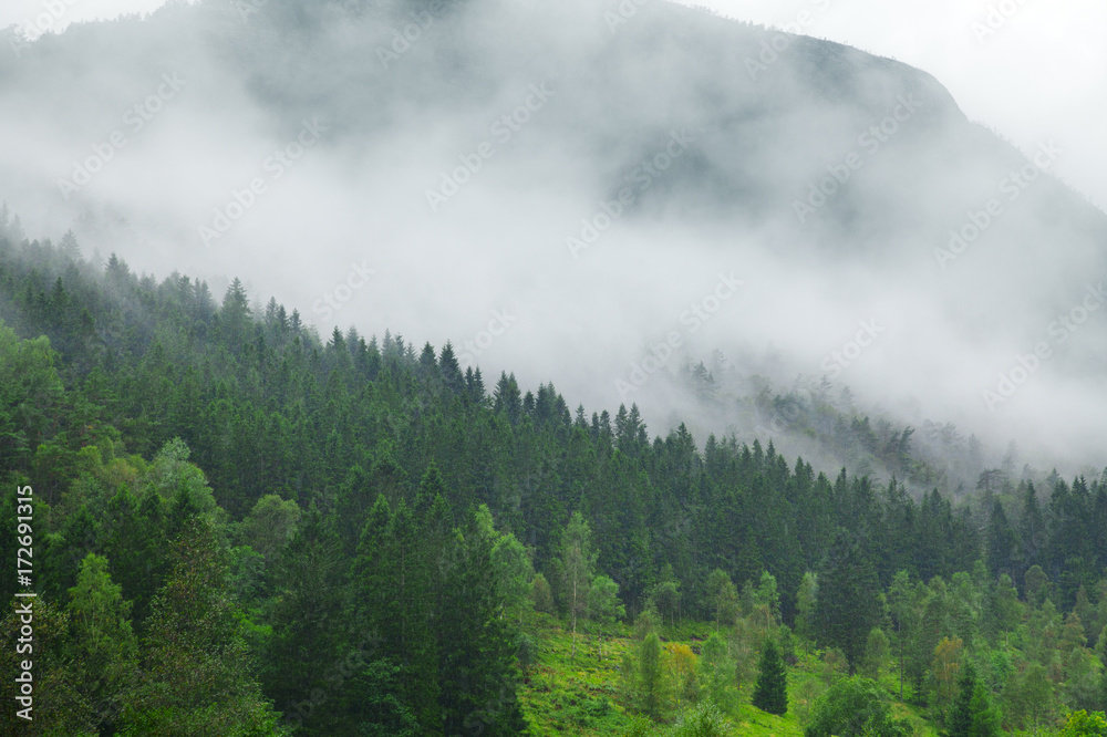 Nebel Nebel