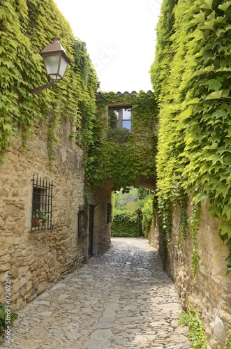 Ivy on narrow alley in  Peratallada  Girona  Spain