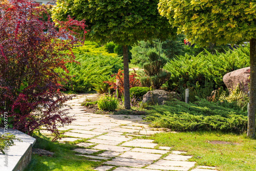 green bushes in the park with a stone path