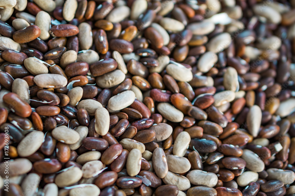 Close up of mature beans. Fresh fruit from the garden without nitrates. Concept farming. Close up of mature beans. Fresh fruit from the garden without nitrates. Concept farming.