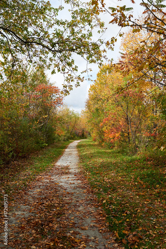 Old railroad trail in autumn Vermont © Lari