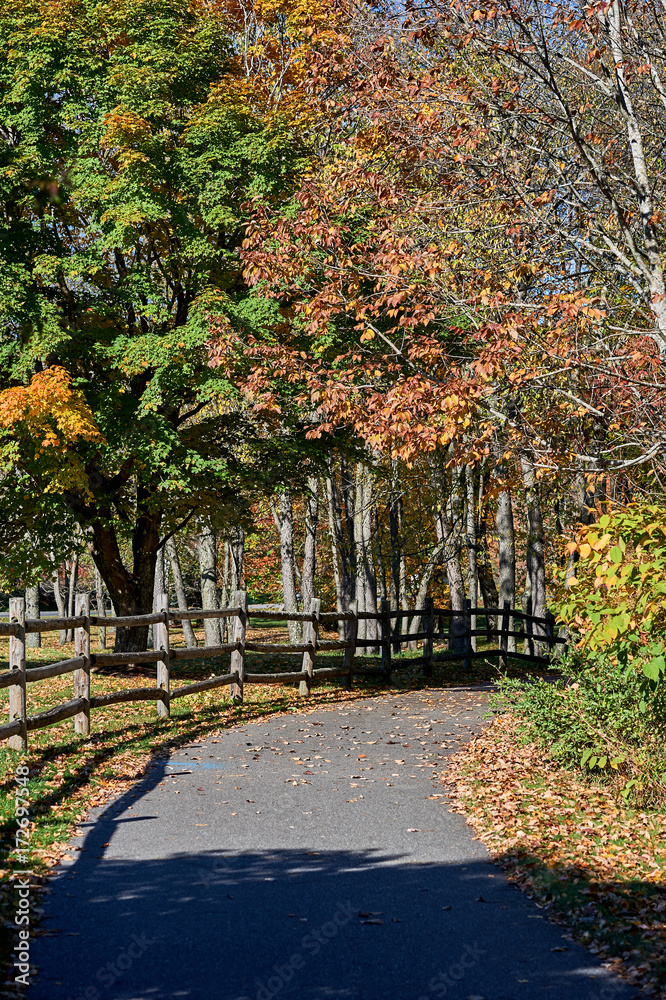 Naklejka premium Narrow road in autumn