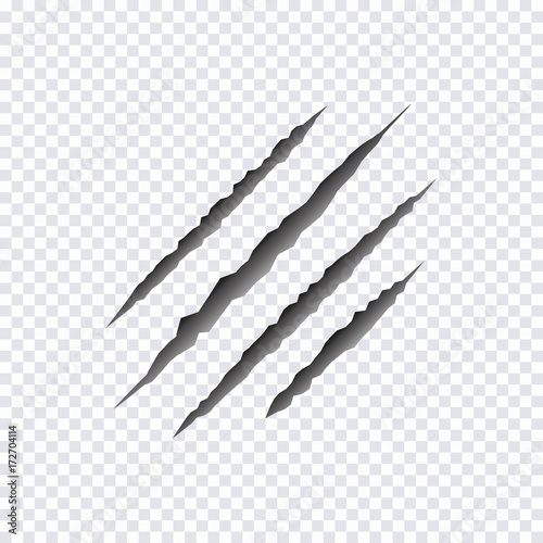 Claws scratches. Vector illustration.