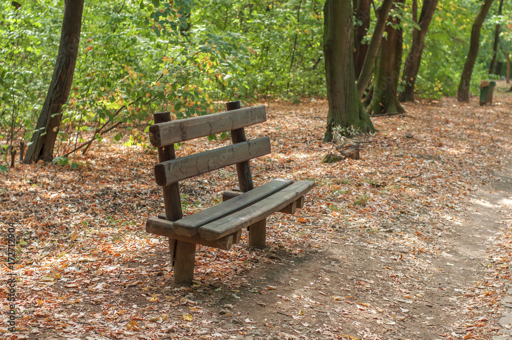 Wooden forest park bench for relaxation Wooden forest park bench for relaxation