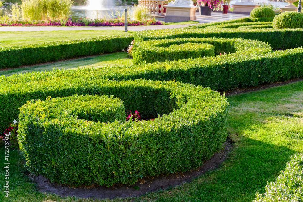 geometric flowerbed in the park geometric flowerbed in the park
