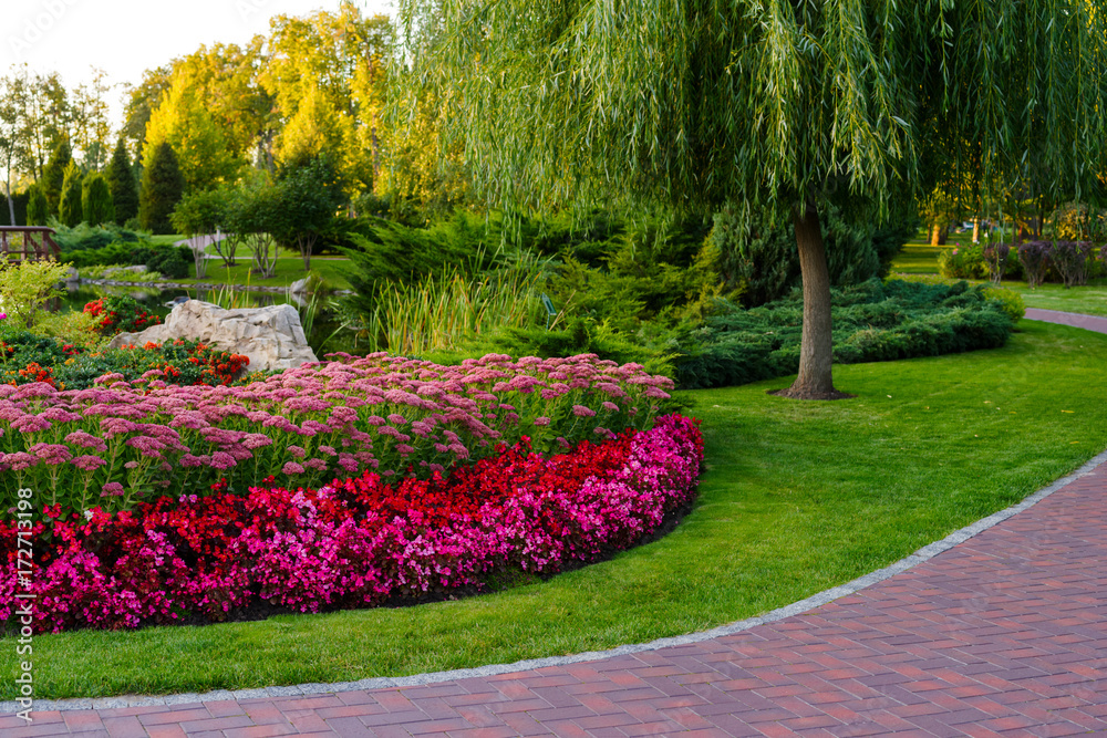 Obraz premium flowerbed with flowers in a park with landscape design