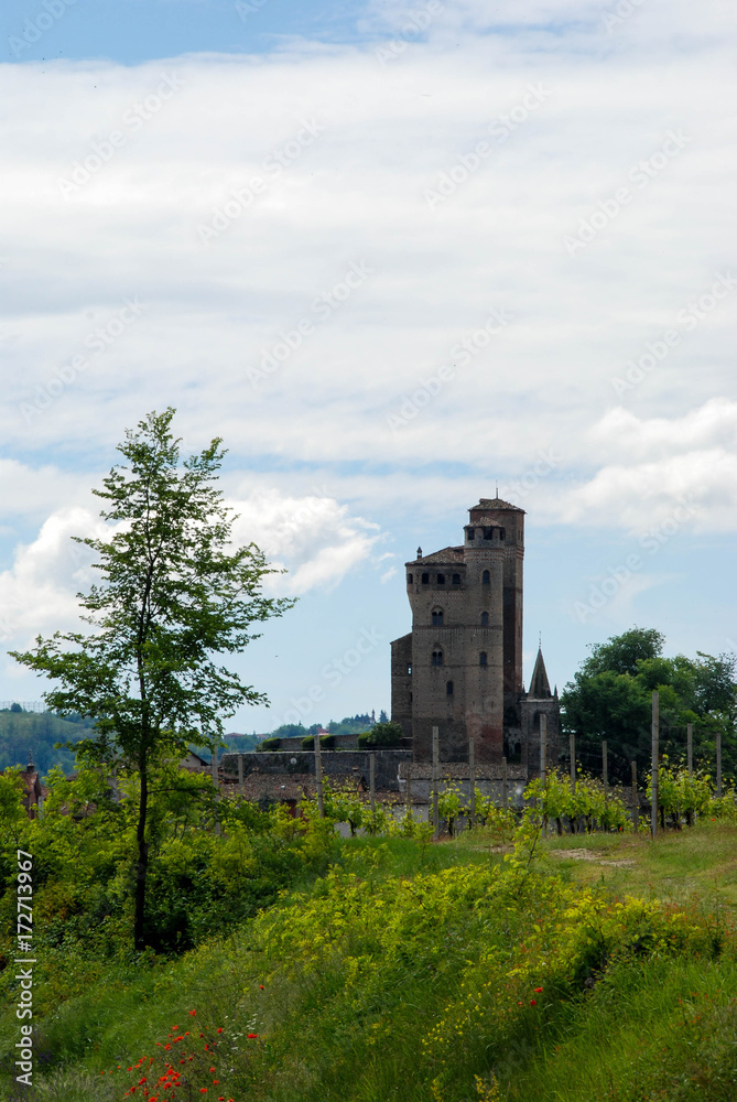 Castle and vineyards on the Langhe Hills, Piedmont - Italy