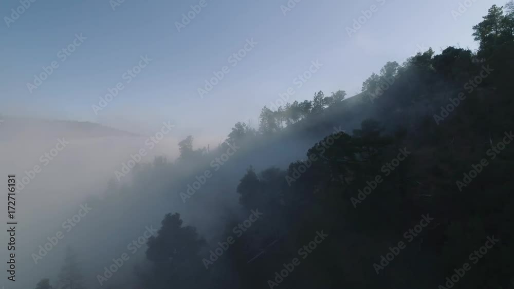 Aerial shot flying over extremely misty and fog covered forest hills. A blue tint and fog fills the valley with blue skies overhead. Eerie. Aerial shot flying over extremely misty and fog covered forest hills. A blue tint and fog fills the valley with blue skies overhead. Eerie.