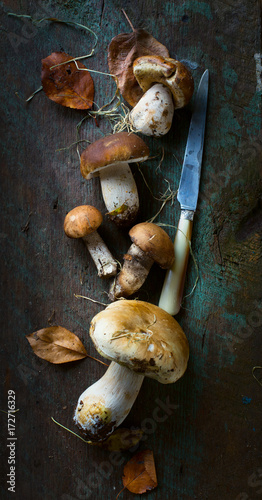 autumn cooking  background;  seasoning forest organic porcini Mushroom;