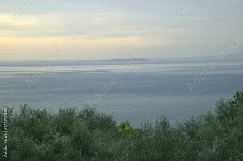Panorama am Abend   ber den Gardasse in Italien  mit bew  lktem Himmel  Pinienb  umen und Olivenb  umen