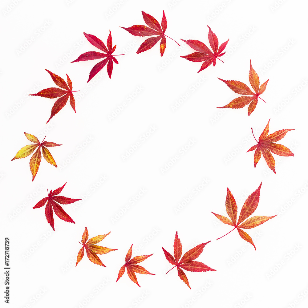 Autumn leaves composition. Frame of autumn maple leaves on white background. Flat lay, top view Autumn leaves composition. Frame of autumn maple leaves on white background. Flat lay, top view