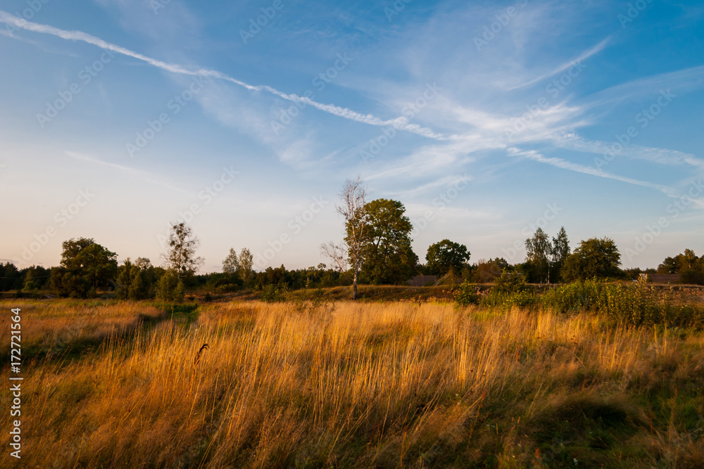 Nature landscape