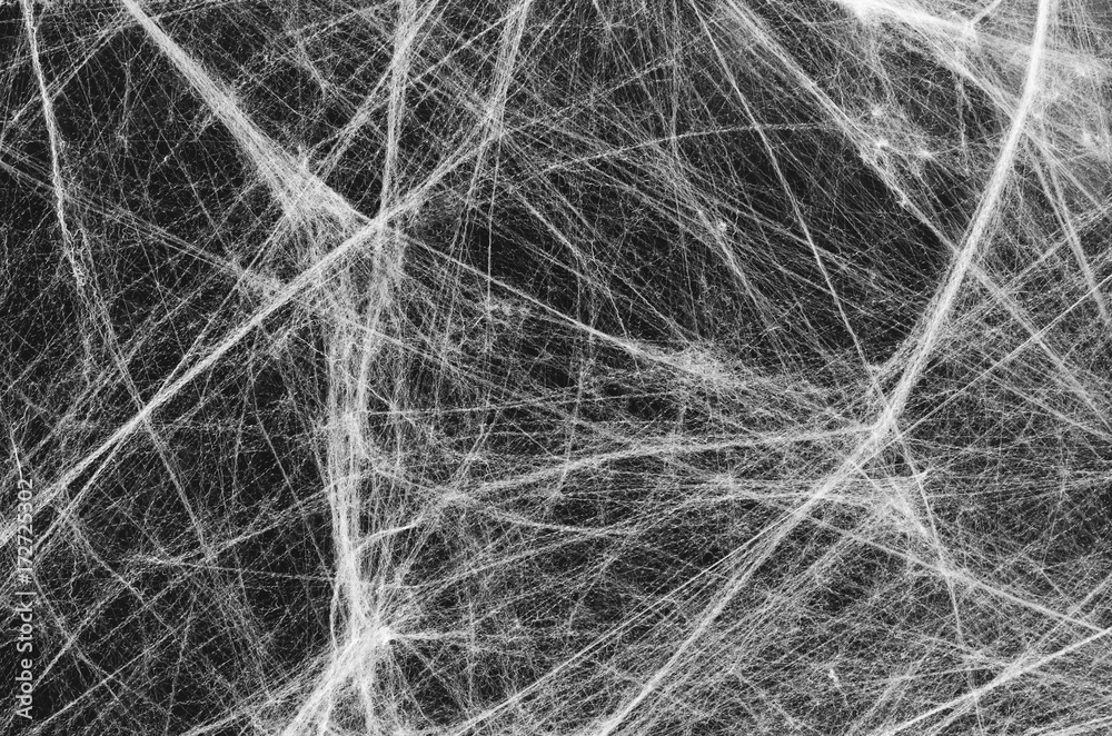 White spiderweb on the black background White spiderweb on the black background
