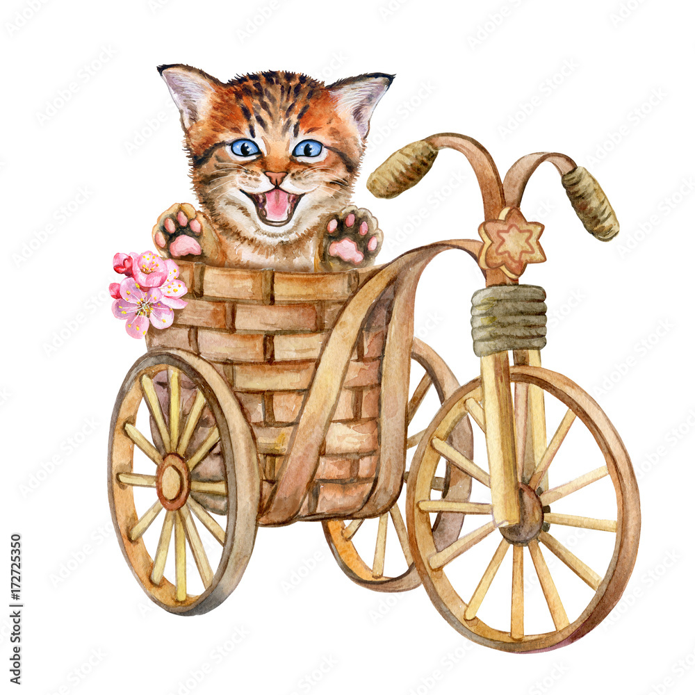 Cute kitten in a basket isolated on white background. Cat on a bicycle. Watercolor. Illustrated. Handmade. Template.