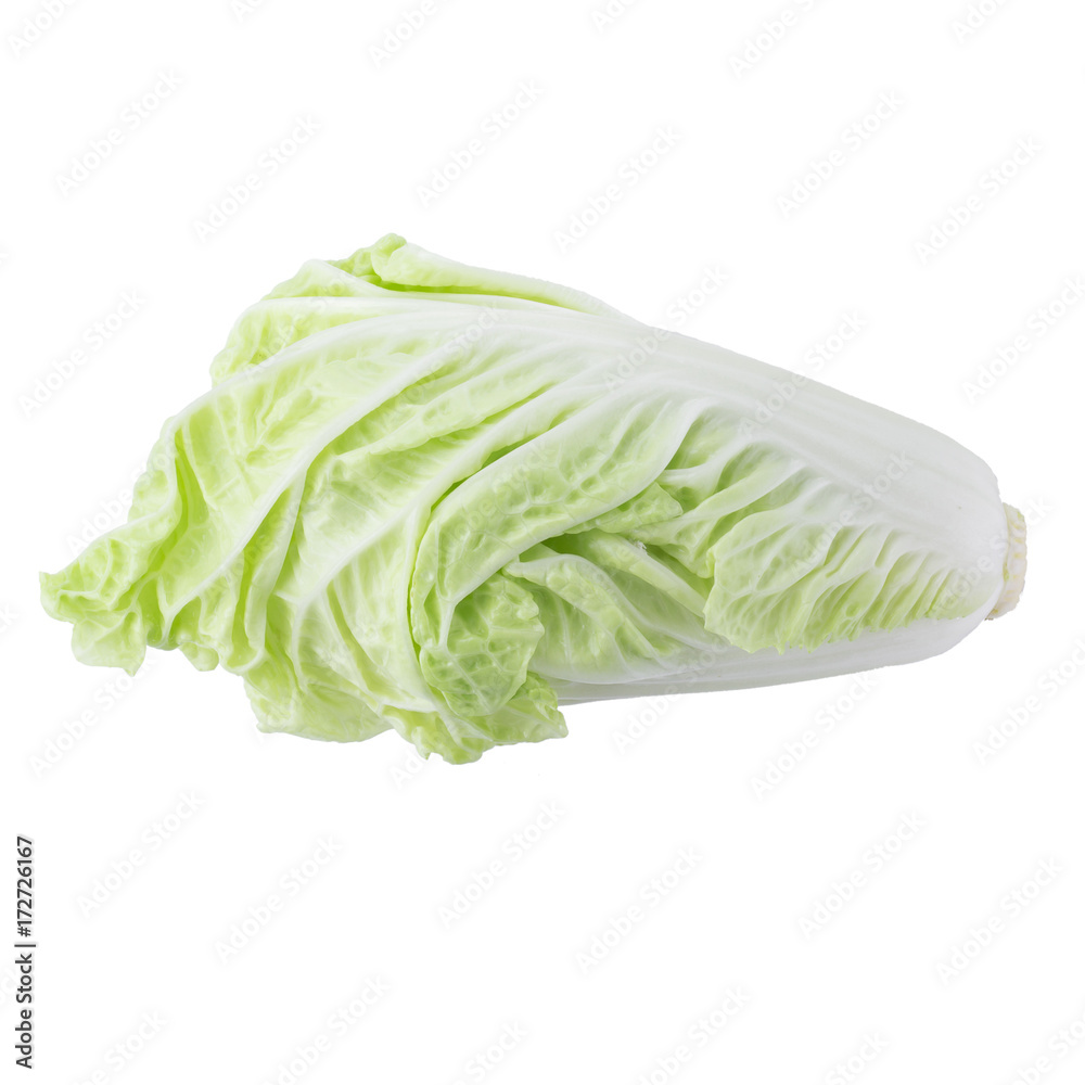 fresh chinese cabbage isolated on a white background fresh chinese cabbage isolated on a white background