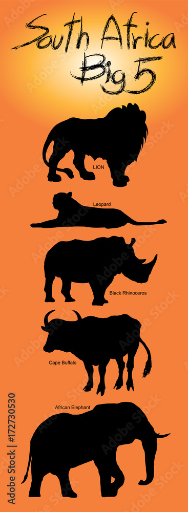 Fototapeta premium Big five Illustration vector.