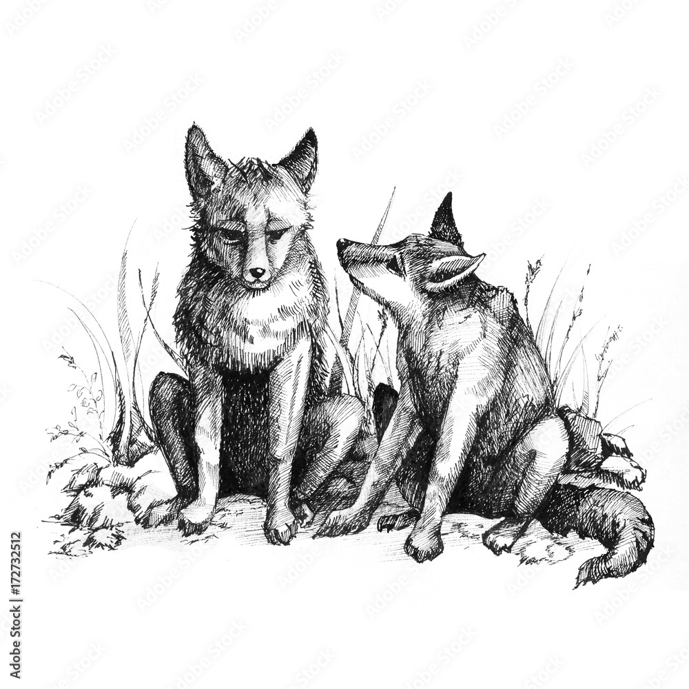 Stylized fox. Forest animals. Cute fox. Line art. Black and white drawing  by hand. Graphic arts. Tattoo. Stock Photo | Adobe Stock