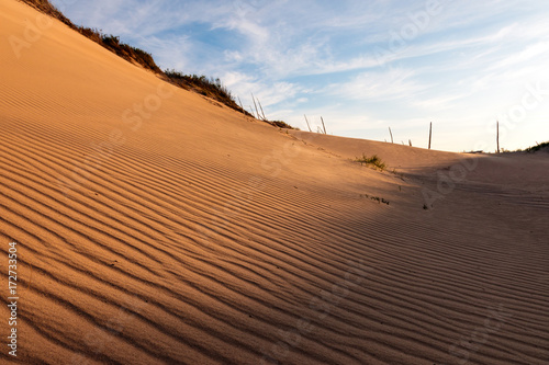 Fototapeta Naklejka Na Ścianę i Meble -  Sleeping Bear Dunes National Lakeshore, Sand Ripples