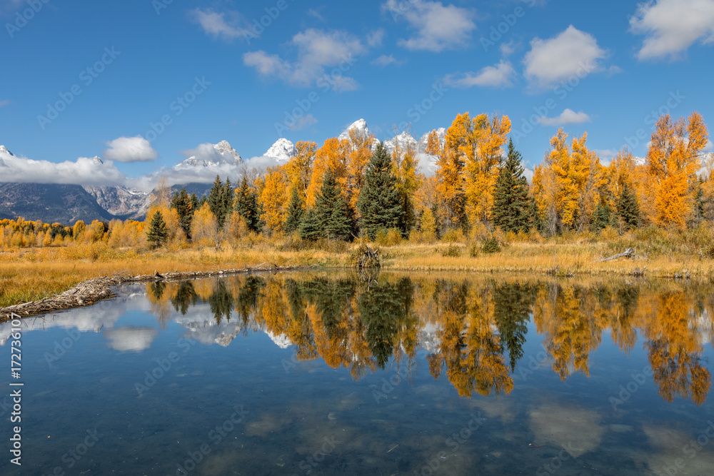 Scenic Fall Reflection in the Tetons