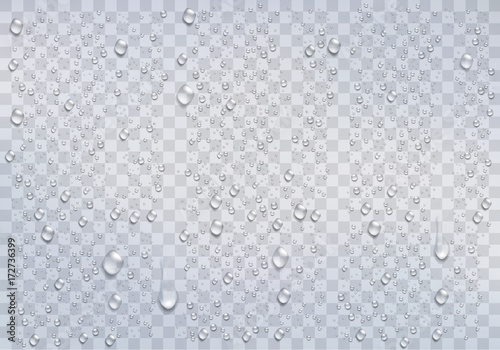 Fotografiet Realistic rain drops on the transparent background. Vector