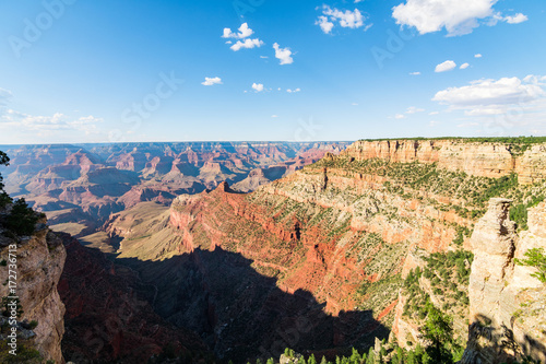 panoramic view of grand canyon national park, arizona © jon_chica