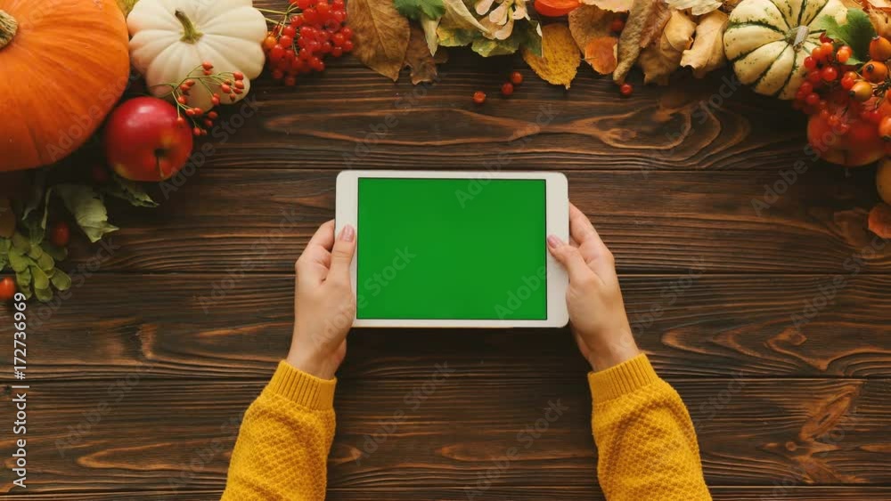 Autumn composition with pumpkins, maple leaves, apples on the top of the brown wooden table. Woman holding tablet computer with green screen. Flat lay. Chroma key. Top view