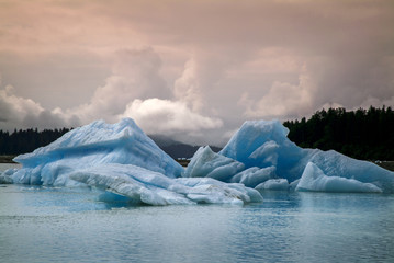 Plexiglas schilderij Gletsjers Kleurrijke ijsbergen Leconte gletsjer Alaska  © LoweStock