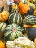 Orange and green pumpkins and gourds