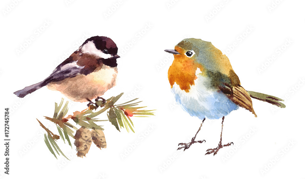 Fototapeta premium Robin and Chickadee Two Birds Watercolor Hand Painted Illustration Set isolated on white background