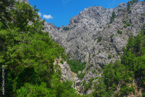  the canyon yolu © rommma