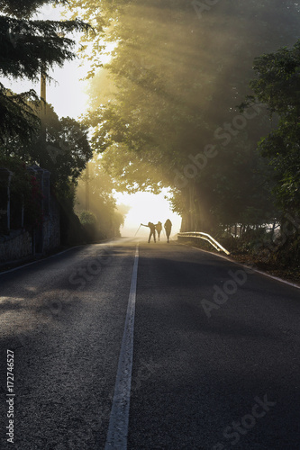 Three pilgrims walking in the morning light on the Camino de Santiago photo