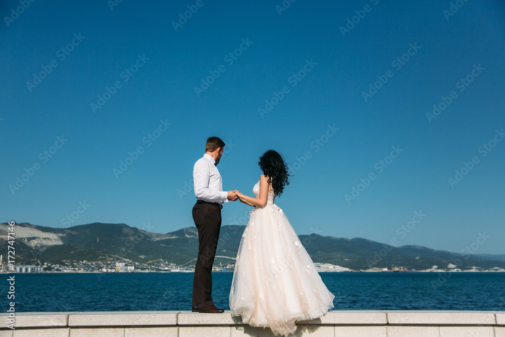 Bride and groom holding hands and turned, back view Bride and groom holding hands and turned, back view