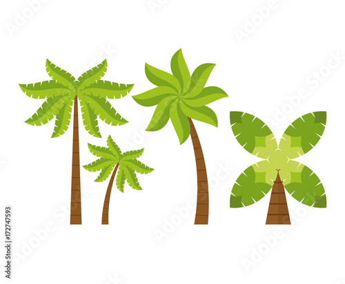 Beach tree palms icon vector illustration graphic design