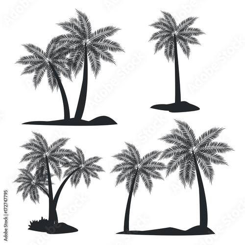 Beach tree palms icon vector illustration graphic design