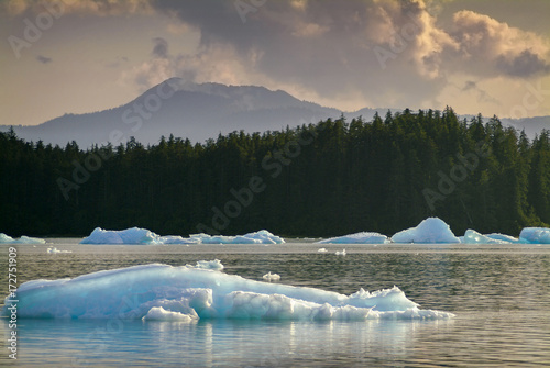 Icebergs from the Leconte Glacier. Colorful ice from the Leconte Glacier moves out to LeConte Bay on the inside passage in southeast Alaska near the city of Petersburg. 